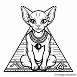 Sphynx Cat Coloring Pages  Free & Printable sketch template
