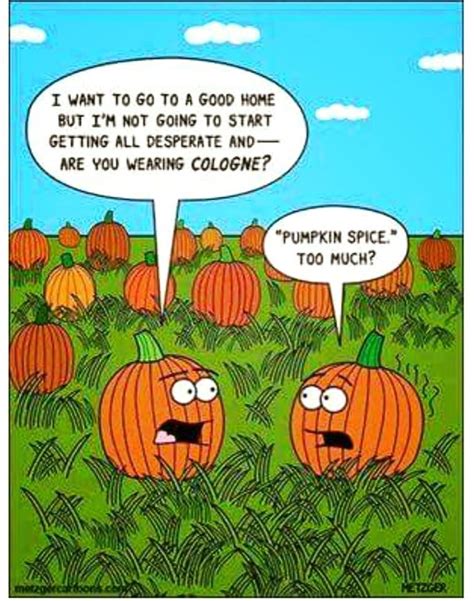 Cool Funny Day After Halloween Memes 2022 References – Get Halloween Update