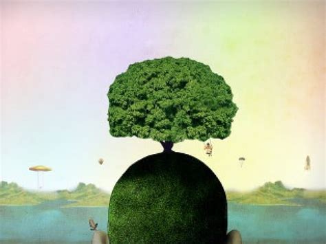 Tree On HEad, tree, fantasy, head, HD wallpaper | Peakpx