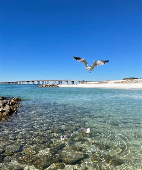 10 Best Beaches In Destin FL (And Nearby!) You Must Visit - Florida ...