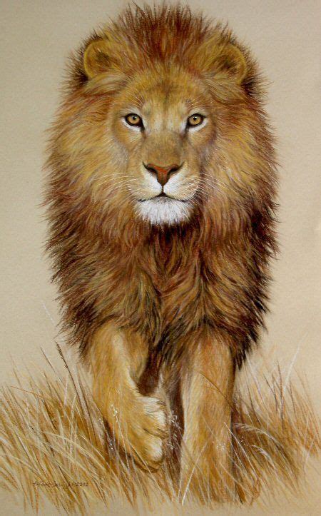 Original Pastel Drawing Stunning African Lion - Wilder Fine Arts - African Lion walking in brown ...