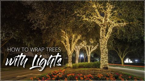 How To Wrap Trees With Lights - YouTube