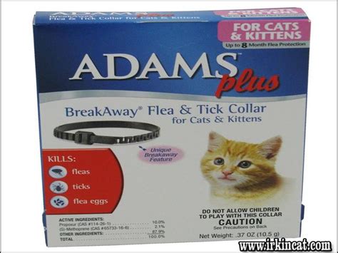 The Flea Collars For Kittens Cover Up | irkincat.com