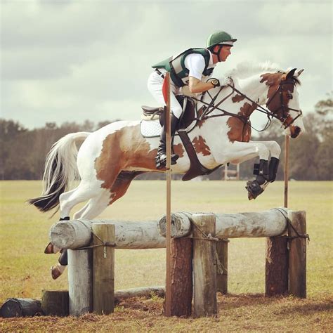 ♞Pinterest LimitlessSkyy♘ | Eventing horses, Horses, Cross country jumps