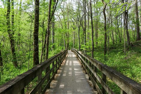 Mammoth Cave National Park, Kentucky - Travel. Experience. Live.