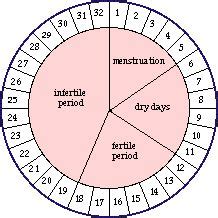 Fertility Wheel - Natural Family Planning