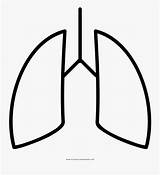 Lungs Coloring Page  Line Art Free Transparent Clipart ClipartKey sketch template