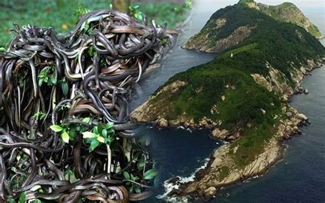 World's Most Dangerous Islands – Top 8 List (Updated: 2023) - Ultimate ...