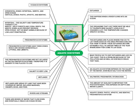 Mind Map Print Images Maps Aquatic Ecosystem Fresh Water Rainforests ...