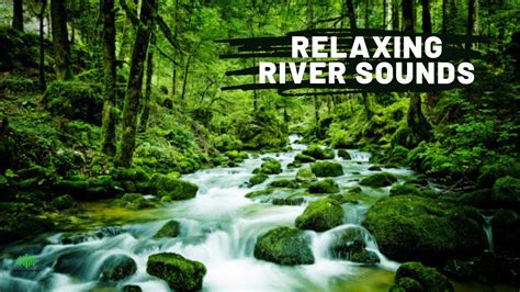 Relaxing River Sounds, Water Flow | Natural Peaceful Water Sound for ...