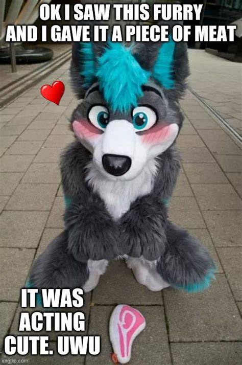 A cute furry UwU - Imgflip