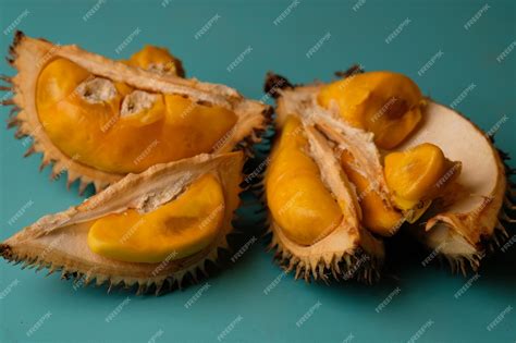 Premium Photo | Durio kutejensis, commonly known as durian pulu, durian ...