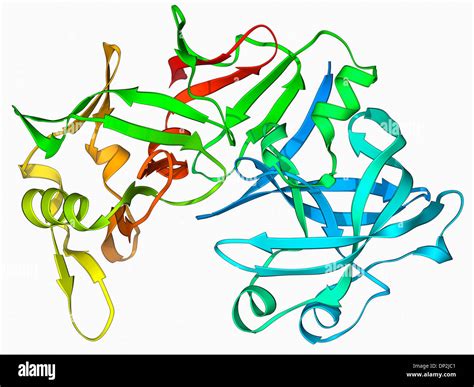 Pepsin stomach enzyme Stock Photo: 65211889 - Alamy