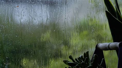 Gentle Rain Sounds on Window in Ireland | Relaxing Rain | Help Sleep ...