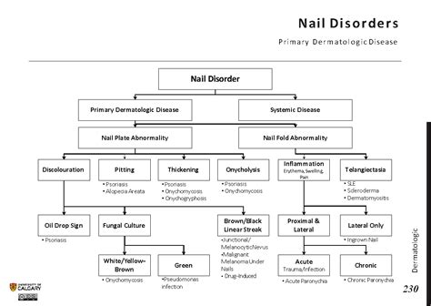 NAIL DISORDERS: Primary Dermatologic Disease - Blackbook : Blackbook