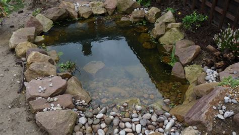 Ponds with rock edging and pebbles — BBC Gardeners' World Magazine