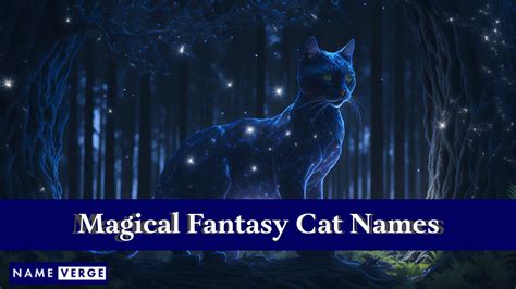 Fantasy Cat Names: 222+ Magical Fantasy Names For Cats