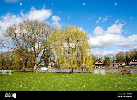 Runnymede Pleasure Ground by the River Thames Surrey UK Stock Photo - Alamy