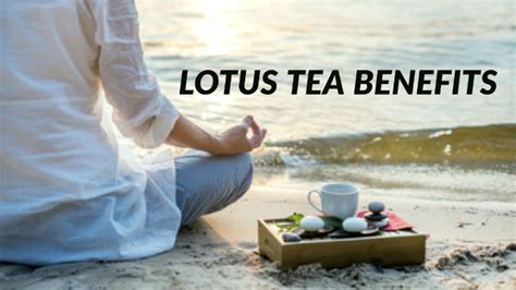 19 Lotus Tea Benefits [How to Make, Side Effects] - HERBS FOR HEALTH