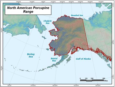 Porcupine Territory Map