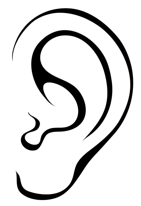 Ear clipart, Ear Transparent FREE for download on WebStockReview 2024