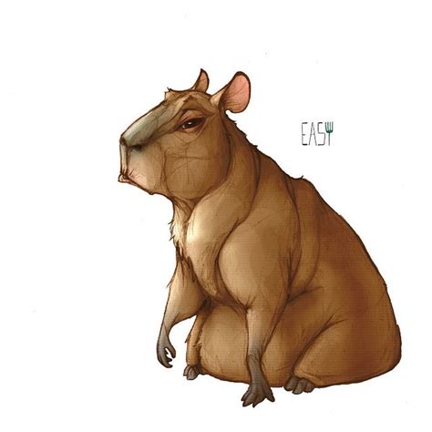 capybara by E-a-s-y on DeviantArt | Animal illustration, Cute animal ...