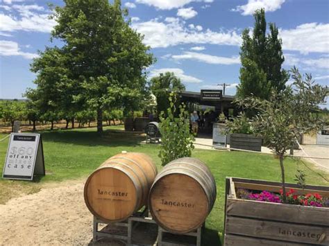 Swan Valley: Full-Day Wine Tour with Lunch | GetYourGuide