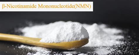 China NMN Powder Manufacturers Suppliers Factory - Wholesale NMN Powder for Sale