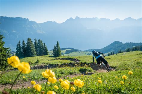 Bike Trails Flumserberg • Collection » Heidiland Tourismus