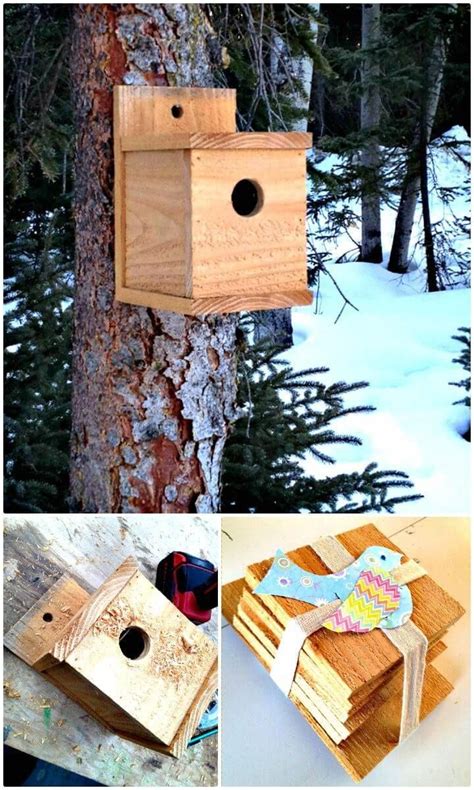 Build a Modern Bird House Under $1 Tutorial - How to build a Birdhouse? 55 Easy DIY Birdhouse ...