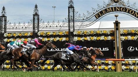 Horse Betting Sites | Best AU Online Bookmakers For Racing 2024