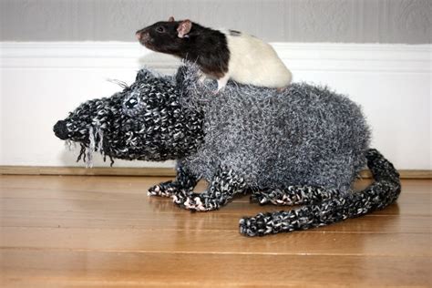 Bosavi woolly rat and Haru | Crochet art, Art, Crochet