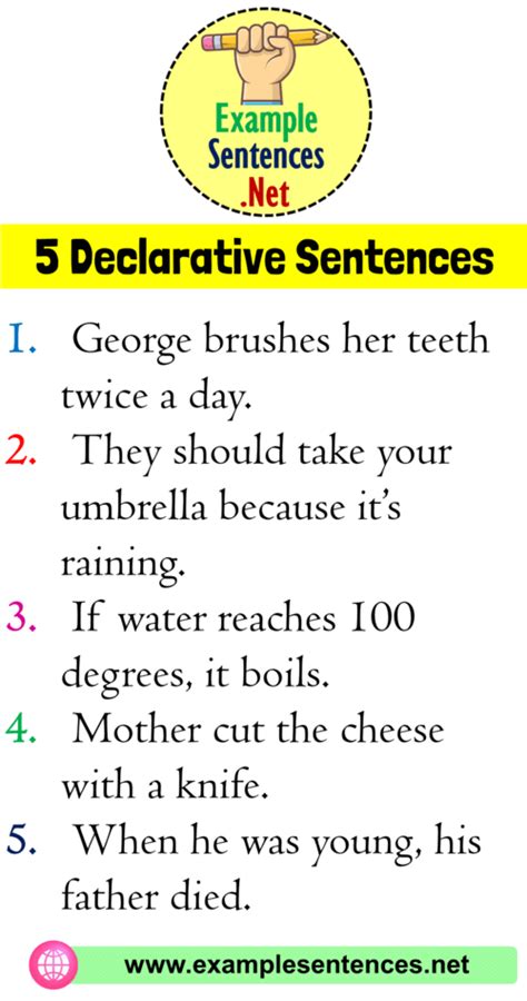 5 Example of Declarative Sentence, Definition and Example Sentences - Example Sentences