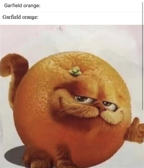 Garfield orange: : r/memes