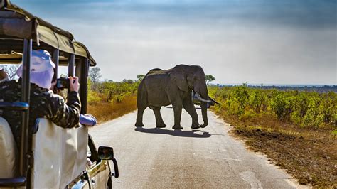 The 11 most incredible national parks in South Africa - Lonely Planet