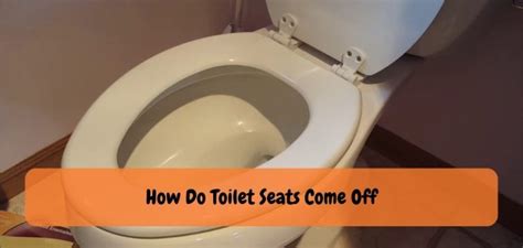 Master the Art of Removing Toilet Seats: Step-by-Step Guide