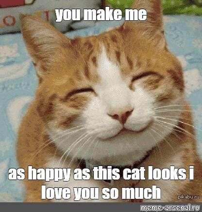 Meme: "you make me as happy as this cat looks i love you so much" - All Templates - Meme-arsenal.com