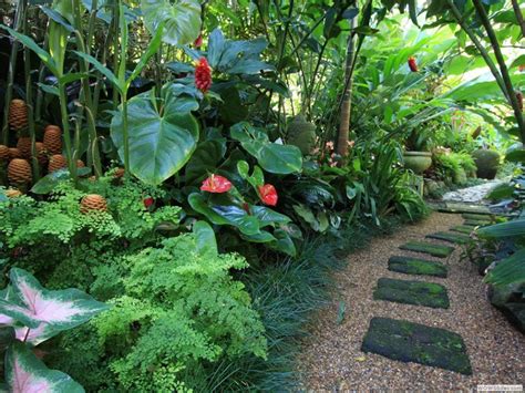 Jardín tropical: claves para conseguirlo en casa - El Blog del ...