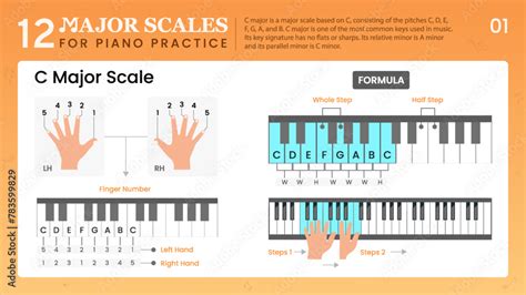 C Major Scale, Visual Guide Essential Music Theory for Piano Stock ...