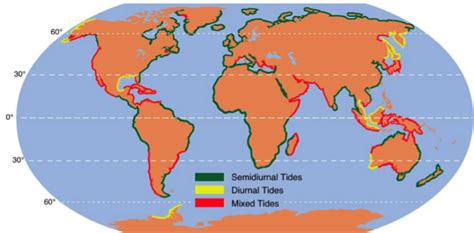 Tidal cycles