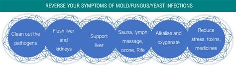 Fungus, mold and yeast -effects on your health