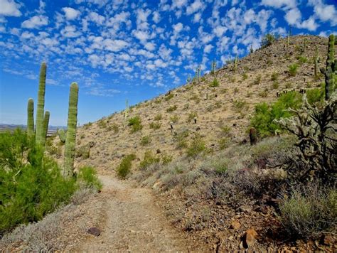 Best desert hikes in Phoenix: Trails for fall, winter spring