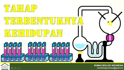 Materi Biologi - Evolusi - Tahap Terbentuknya Kehidupan: Abiogenesis, Biogenesis, Evolusi ...