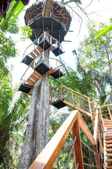 A Treehouse Stay in the Amazon Jungle | The Travelbunny