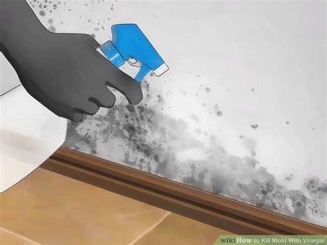 How to Kill Mold With Vinegar: 14 Steps (with Pictures) - wikiHow