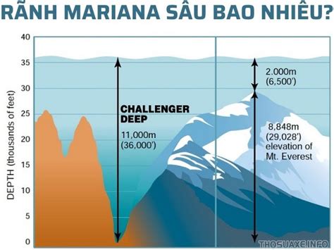 Top 11 bí ẩn về sự sống dưới rãnh Mariana - nơi tận cùng biển cả