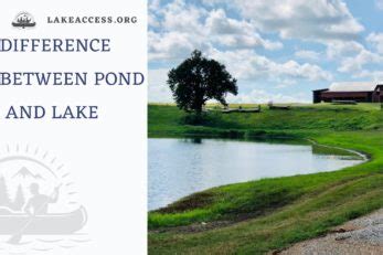 Lake vs. Pond: Exploring the Differences and Similarities - Lake Access