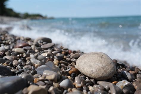 Where to Find Petoskey Stones in Michigan | Michigan