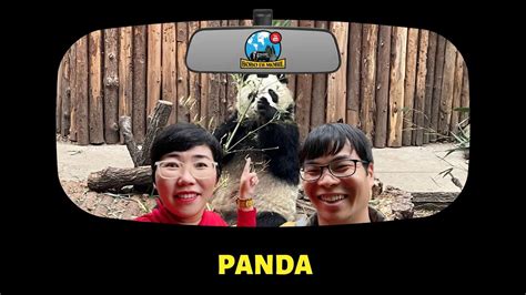 China Ep.72 | Happy Panda 🐼 di China - YouTube