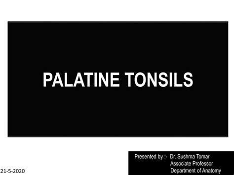 PALATINE-TONSILS Anatomy and applied aspectspresentation | PPT